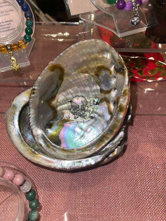 Abalone Shell for Smudging – Ground, Cleanse & Connect with Oceanic Wisdom